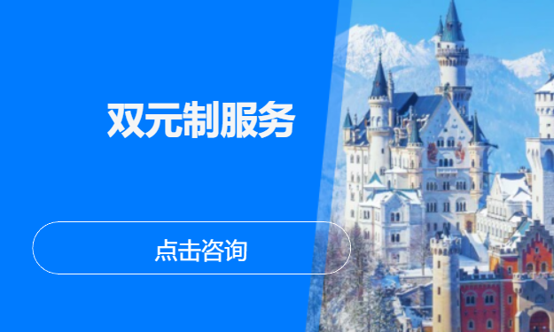双元制服务